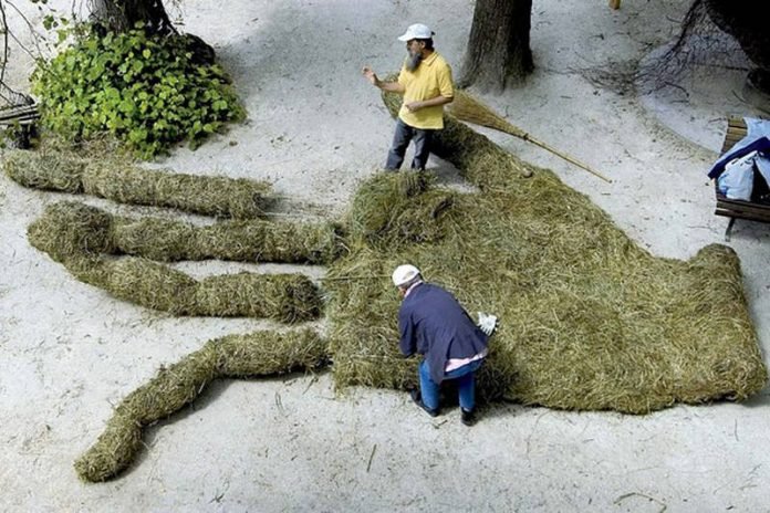 land-art-2012